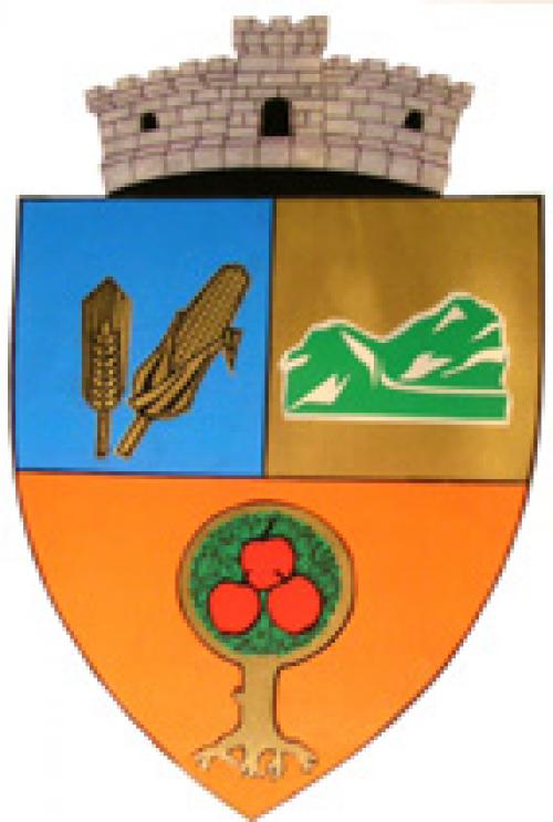 b_52158Stema Baciu mica.jpg